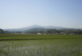 g摜